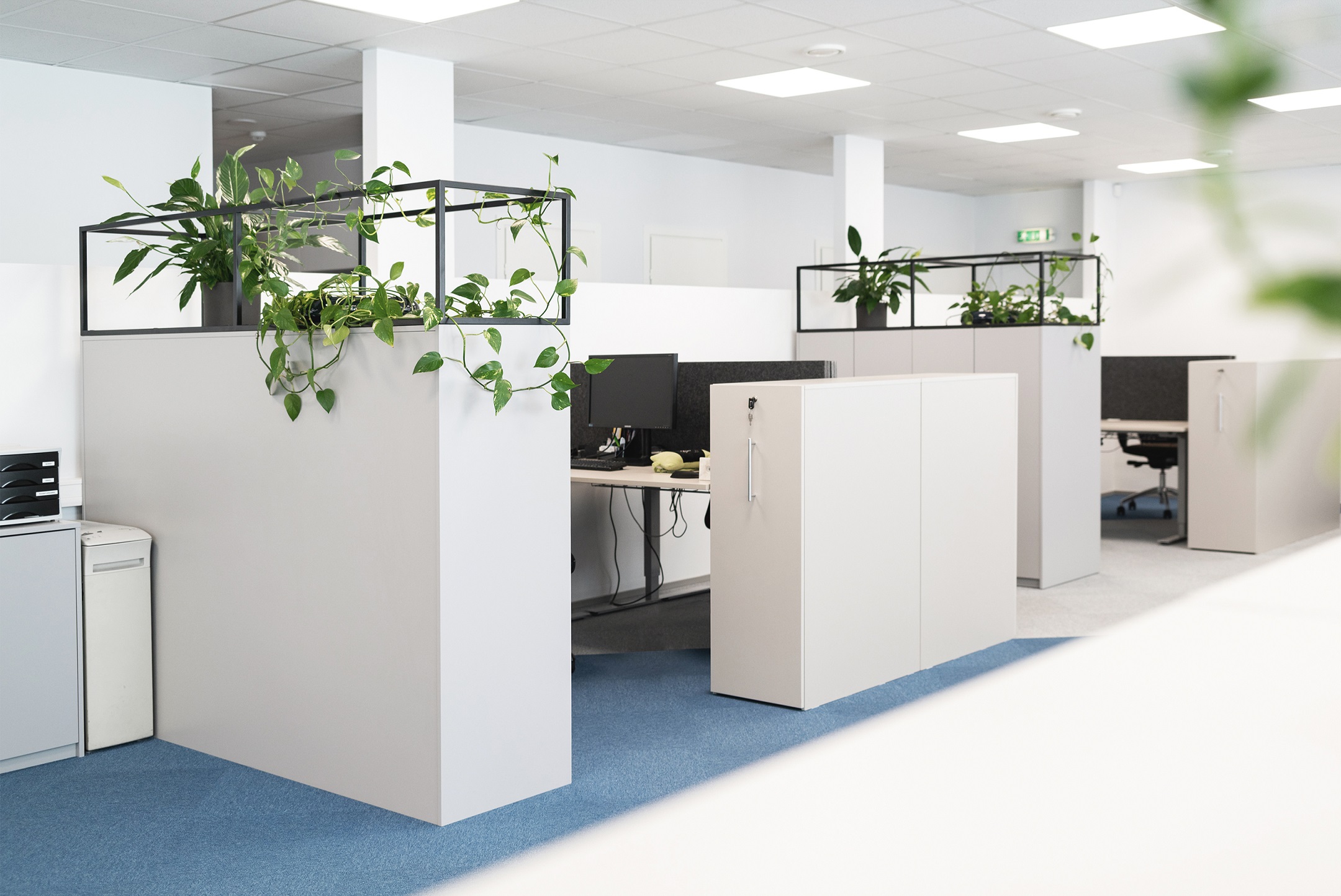 Luna Group Estonia
