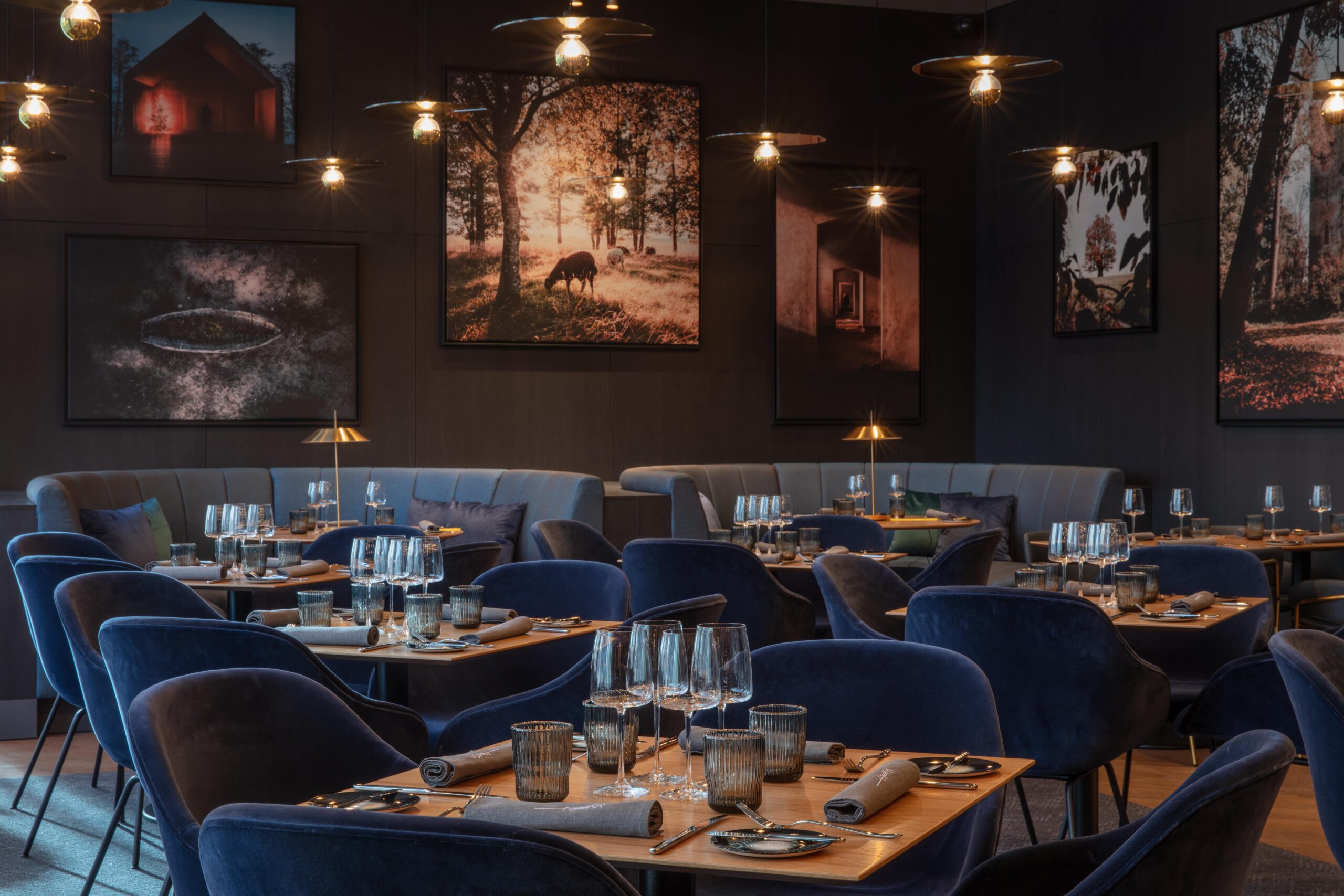 Radisson Collection